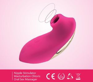 Nippelkuss-Sauger, weicher Silikon-Klitoris-Stimulator, Anregung zum Lecken und Vibrieren, USB-Ladegerät, wasserdicht, RC034