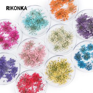 Sets 10 Kisten getrocknete Blumennagelschütze 3D Trockene Blume Bunt Schmuck Set für Maniküre DIY Japan Korea Sommer UV Nail Art Dekorationen Vorhang