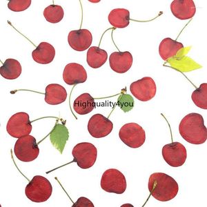 Decorative Flowers 10pcs Dried Pressed 1.5-2cm Fruit Cherry Slices Plant Herbarium For Jewelry Po Frame Phone Case Bookmark Postcard Making