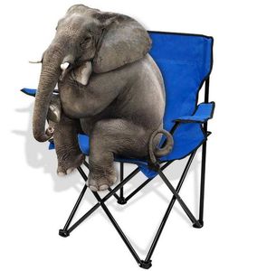 Металлическая нержавеющая сталь Canvas Складное кресло с лагерем мебель на открытом воздухе походы на пляжные стулья Стулья вечеринка пишечное кресло Стул Ультрасол.