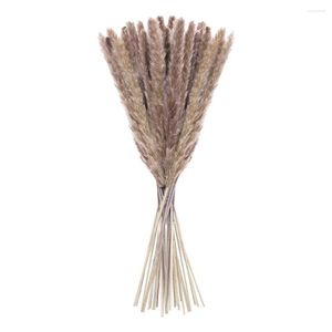 Fiori decorativi 15PCS Canna essiccata naturale o erba di pampa per Natale/Casa moderna/Forniture per matrimoni Decorazione Mazzo Fondali per feste