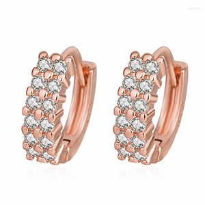 Dangle Earrings Fashion Drop 925 Silver Jewelry Accessories With Zircon Gemstone Rose Gold Color For Women Wedding Party Gifts