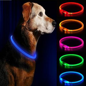 Coleira led usb para cães de estimação noite coleira de carga luminosa led noite segurança brilho piscando coleira de prevenção de perda acessórios para animais de estimação