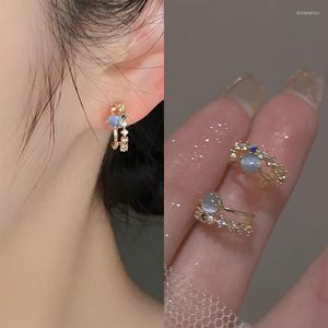 Brincos de opala azul para mulheres coreana luz luxo zircão pérola moda cristal imitação doce brinco menina jóias
