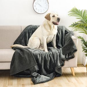 Tillbehör Vattentät husdjursfilt flytande Pee Proof Dog Filt för bäddsoffa, reversibel Sherpa Fleece Furniture Protector Cover