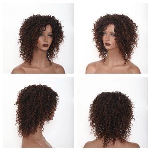 Lockige Perücken für schwarze Frauen Perücken wie menschliche Haar Perücken billige Perücken glühlose Perücken vorgezogen 14 Zoll Kinky Curly Dark Brown und Blonde