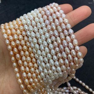 Pärlor 1Strand Natural Freshwater Pearl Högkvalitativ Regular Form Loose Piercing för smycken Making Halsband Armband DIY