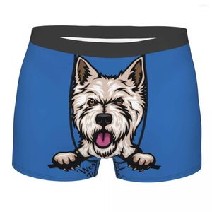 Underpants Peeking Dog West Highland White Terrier Underwear Men Stretch Westie Boxer Briefs Shorts Panties Soft For Male