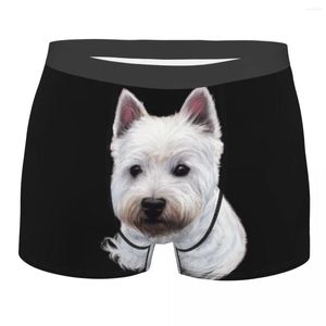 Underbyxor manliga coola västra högland vita terrier hund underkläder söt westie boxer trosor män stretch shorts trosor