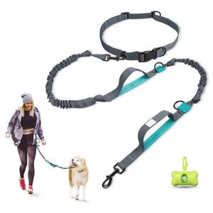 Tasarlar Eller Ücretsiz Köpek tasması Orta büyük köpekler için ayarlanabilir bel kemeri ile çift yastıklı tutamaklar geri çekilebilir bungee yansıtıcı kaka çantası