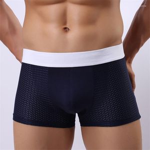 Cuecas masculinas cuecas calças malha respirável náilon U convexo boxer shorts de alta qualidade marca masculina masculino sexy cueca
