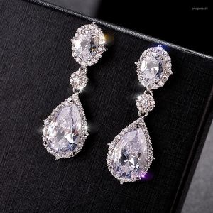 Серьги Серьги Классическая вода капля Cz Stone Long Fashion Jewelry Supper Shinny чистый кубический циркон для женщин корабль