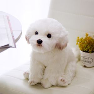 エミュレーションマルタ人形装飾2サイズのオプションの白とかわいい犬のぬいぐるみおもちゃ