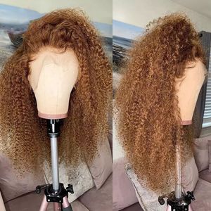 180Density Brown Color Curly Human Hair Wig for Women Black /Blonde Highlights HD Lace Frontal Wig Remy 360 Full Lace Front Synthetic Wig