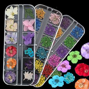 Decorazioni per nail art 12Pcsbox 3D Fiori secchi fai da te Adesivi per fiori veri Disegni per ciondoli per manicure Disegni per accessori per unghie 230606