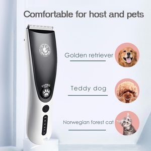 Aparadores 2000mAh Cabelo elétrico Clipper para animais de estimação TRIMER DE CAT CATRIMENTO PETRIMENTO PROFISSIONAL CARE DE CUIDADO DE TECISSO CUIDADO