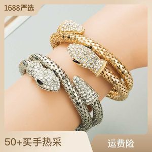 Charm Bracelets Necklaces New style personality exaggeration punk wind snake winding men's and women's alloy set diamond bracelet Jewelry