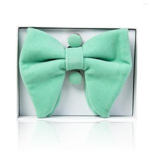 Bow Ties Green Mens Pre-Tied Oversized Tie Tuxedo Velvet Bowtie Cufflinks Hanky Sets Colorful Daily Wear Gift Box For Hombre