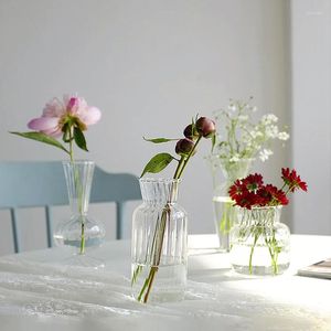 Vasos Bola de cristal Vaso de flores Bolha Garrafa de vidro transparente Artigos de arte hidropônicos Mesa Decoração de casa