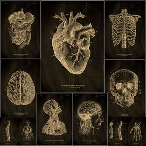 タイレルA3クラフトペーパーポスター黒板解剖学的スケルトンヴィンテージホームルーム医学学生装飾医療アートウォール