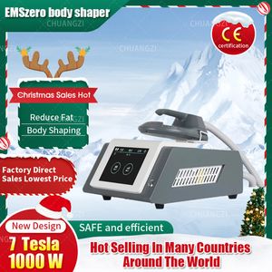 HOT Slimming Machine 2024 Mini 1 Handle Multi-functional Replacement DLS-EMS-LIMHIEMT RF Home Fitness EMS Muscle Stimulation Fat Burning Beauty Apparatus