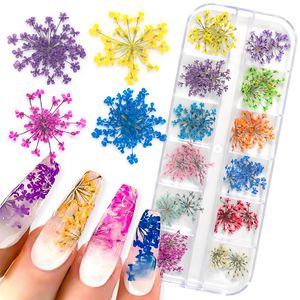 Nagelkonstdekorationer 3D torr blommor dekoration verklig mini torkad blommor klistermärken naturliga blommiga charms design diy manikyr naglar tillbehör 230606