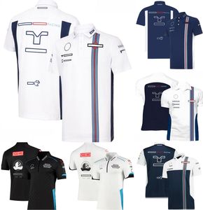 F1 T-shirt Formula 1 Team Racing Polo Shirt Short-sleeved Summer Mens Quick Dry Oversized T-shirt Tops Outdoor Sports Casual Jersey