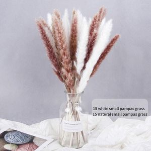 Decorative Flowers Dried Pampas Grass Decor Various Bouquet Reed For Wedding Boho Home Table Rustic