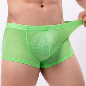 Underpants Men Sexy Mesh Boxer Trunks See Through Underwear Male Breathable Panties Transparent Shorts Bulge Pouch Knicker