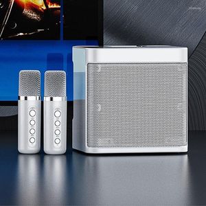 Microfones YS-203 Conjunto de microfone com alto-falante Equipamento para canto doméstico sem fio Bluetooth KTV Máquina de karaokê Modificador de voz