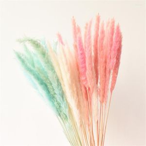 Decorative Flowers Natural Dried Pampas Grass Pink/White/Yellow Color Tail Dry Bouquet Phragmites Wedding Bunch For Home Decor