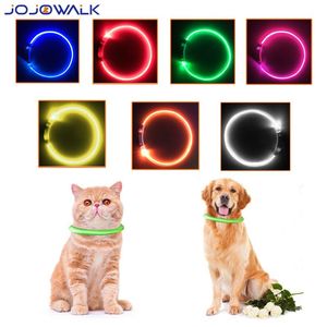 Coleira de cachorro LED USB recarregável luminosa piscando coleira de gato ao ar livre caminhada brilhante noite colar de segurança suprimentos produtos para animais de estimação