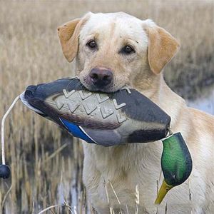 Mimics Dead Duck Bumper Toy For Training Puppies Or Hunting Dogs Teaches Mallard Waterfowl Game Retrieval Duck Dummy