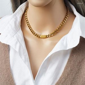 Catene in acciaio inossidabile 316L semplice Chiphop Rock collana geometrica ovale color oro per le donne moda regalo di gioielli per feste non sbiadite