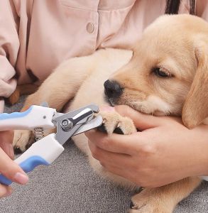 Pet Grooming Scissors Dog Cats levererar Pet Nail Pet Grooming Kit med 2 sax, nagelklippare, fil och fräsar - Perfekt för katter och hundar