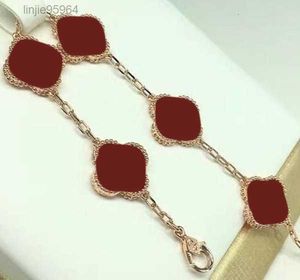 6 Colors Fashion 4/four Leaf Clover Charm Bracelets Bangle Chain High Quality Agate Shell Wedding Cjeweler for Mens Womens Gifts 107kv{category}