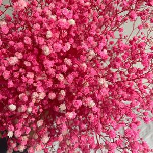 Decorative Flowers 100g Dekoration BabysBreath Gypsophila Natural Dried Preserved Bouquet Christmas Decoration 2023 Interior Bridal Wedding