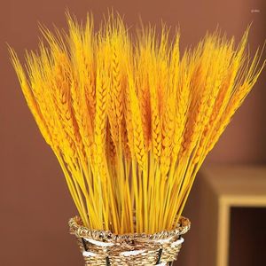 Fiori decorativi 50 pezzi Spiga di grano reale Bouquet da sposa da sposa essiccato naturale Regali per la festa della mamma 2023Fiori artificiali di alta qualitàMatrimonio C