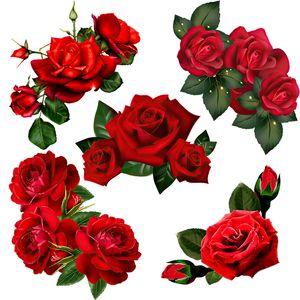 Three Ratels QCF217 Beautiful red rose wall sticker art for home decoration Toilet Decal