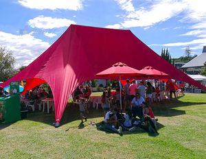 Gazebo Spider Star a doppio palo 12X17M, tenda per grandi eventi, tenda da campeggio con baldacchino per tendone in lega di alluminio per fiera commerciale con marchio pubblicitario