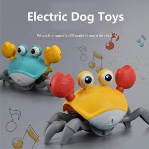 Smart Dog Toys Interactive Dog Toys Automatic Toys для собак USB -зарядка аксессуаров щенки игрушки для домашних собак игра в помещении