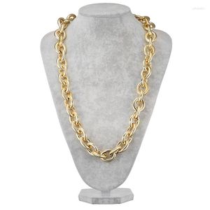 Hänge halsband stort uttalande Långt plastkedja halsband för kvinnor oval tjock länk rappare hip hop guld silver färg punk smycken