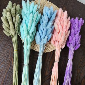 Outros suprimentos para festas de eventos 40 ~ 45PCS35CM Longo Real Natural Dry Plant Beauty Grass Branch Dry Jewelweed Flower Bouquet Para Home Decor Decoração Do Casamento 230608