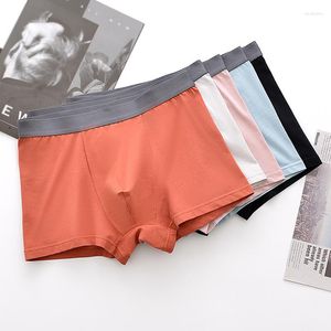 Underbyxor 5st/Lot Cotton Men's Underwear Seamless Plus Boxer Briefs L-5XL Multi-Size