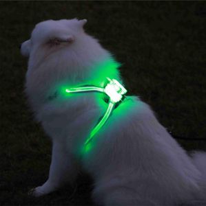 Harnesses cc simon lace wedding dog collar Factory Supplier Multicolor Glowing Night Led Light Up Dog Harness