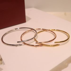 Fashion Couple Lovers Jewelry 3mm Thin Bangles Titanium Steel Nail Bracelet Cuff Bracelets Women Men Love Jewelry Gift