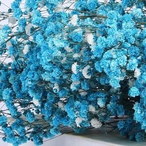 Fiori Decorativi 100g Teste Neonati Essiccati Alito Naturale Fresco Secco Conservato Gypsophila Decorazione di Nozze Regalo di San Valentino Pampas