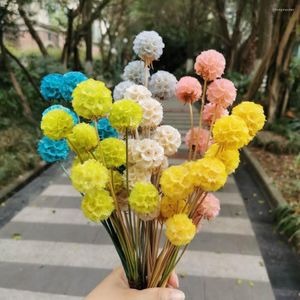 Decorative Flowers 20pcs/lot Natural Real Preserved Dried Flower Bunch Eternal Display For Wedding Party Garden Home Decoration Accessories