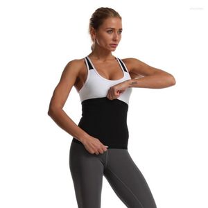 Modelador de cintura lombar feminino Cinto de neoprene Perda de peso Faixa de suor Envoltório para gordura abdominal Estômago Academia Fitness