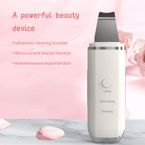 Ferramentas de limpeza Acessórios Ultrasonic Skin Scrubber Pore Cleaner Face Ion Peeling Device Vibration Lifting Blackhead Remover Pá Machine 230609